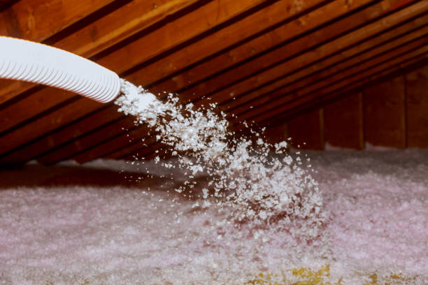 Best Insulation for New Construction  in Lake Holm, WA