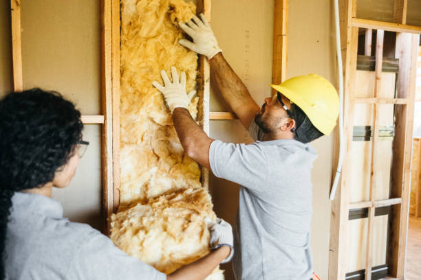 Best Insulation for Commercial Buildings  in Lake Holm, WA