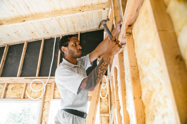 Best Insulation Removal  in Lake Holm, WA