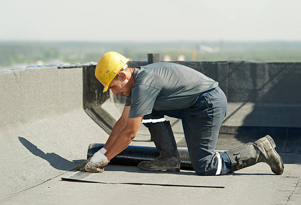 Best Fiberglass Insulation  in Lake Holm, WA