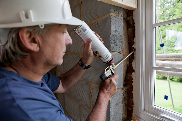 Best Wall Insulation Contractor  in Lake Holm, WA