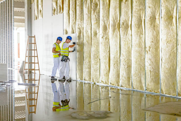 Best Home Insulation Services  in Lake Holm, WA